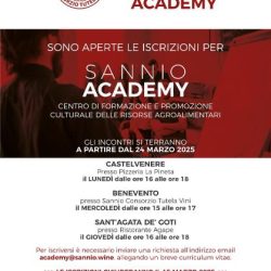 locandina sannio academy